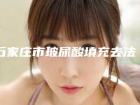 石家庄市玻尿酸填充去法令纹医生top10强排名榜深度评测-薛佳明医生精选名单_实力超强