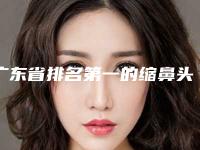 广东省排名第一的缩鼻头手术医院(珠海仁爱整形美容门诊部口碑实力兼具)