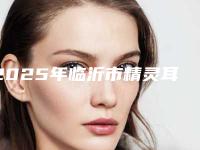 2025年临沂市精灵耳手术整形医院排行榜十强查收